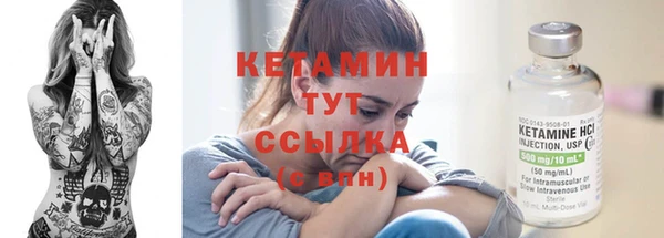 хмурый Гусь-Хрустальный
