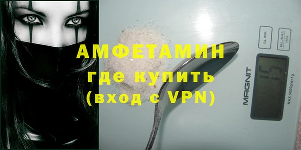 хмурый Гусь-Хрустальный