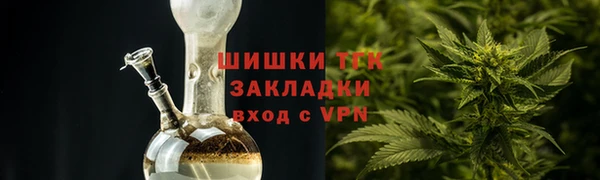 хмурый Гусь-Хрустальный
