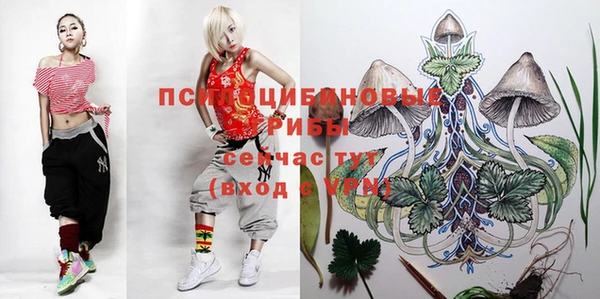mix Гусев