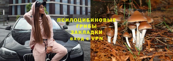 герыч Гусиноозёрск