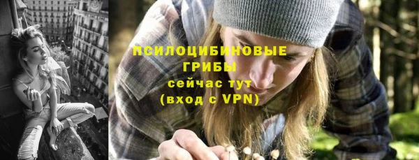 хмурый Гусь-Хрустальный