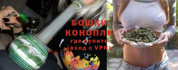 хмурый Гусь-Хрустальный