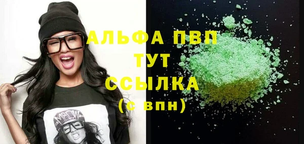хмурый Гусь-Хрустальный