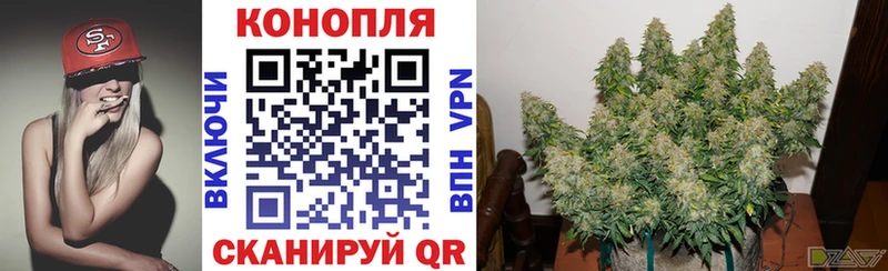 МАРИХУАНА THC 21% Новоржев